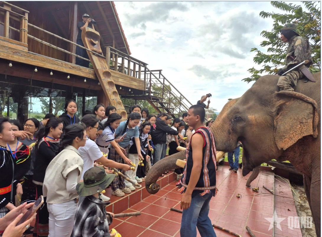 Điểm sáng chăm lo văn học thiếu nhi